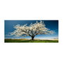 Wallity Lienzo Decorativo Multicolor 50 x 120 cm